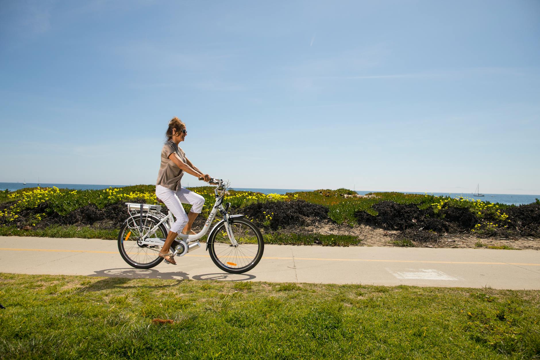 electric bicycle