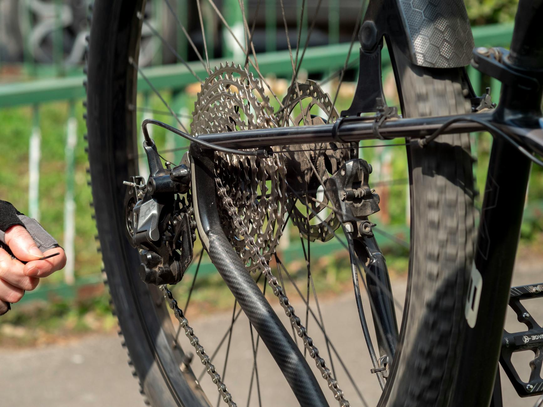 carbon frame