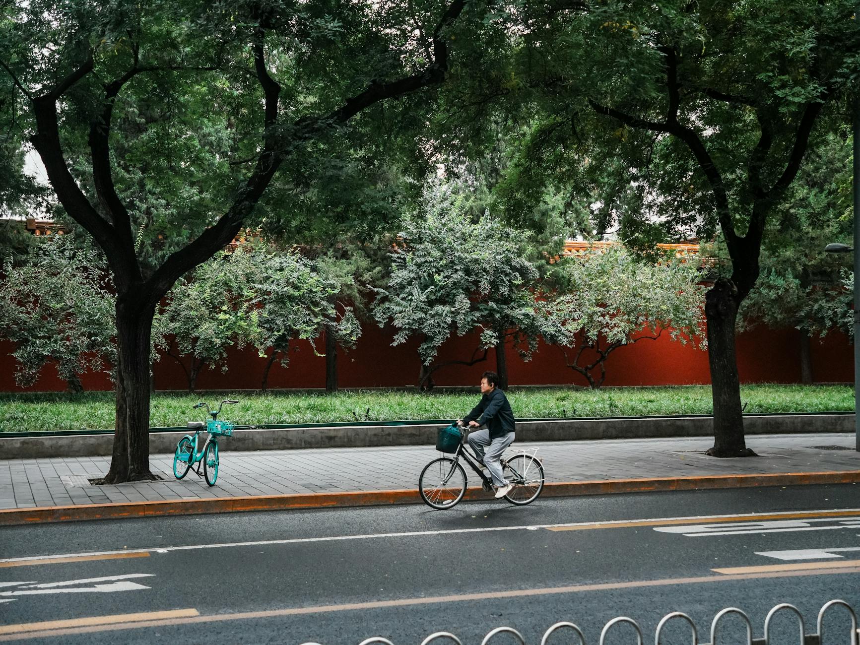 electric assist bicycle city commute