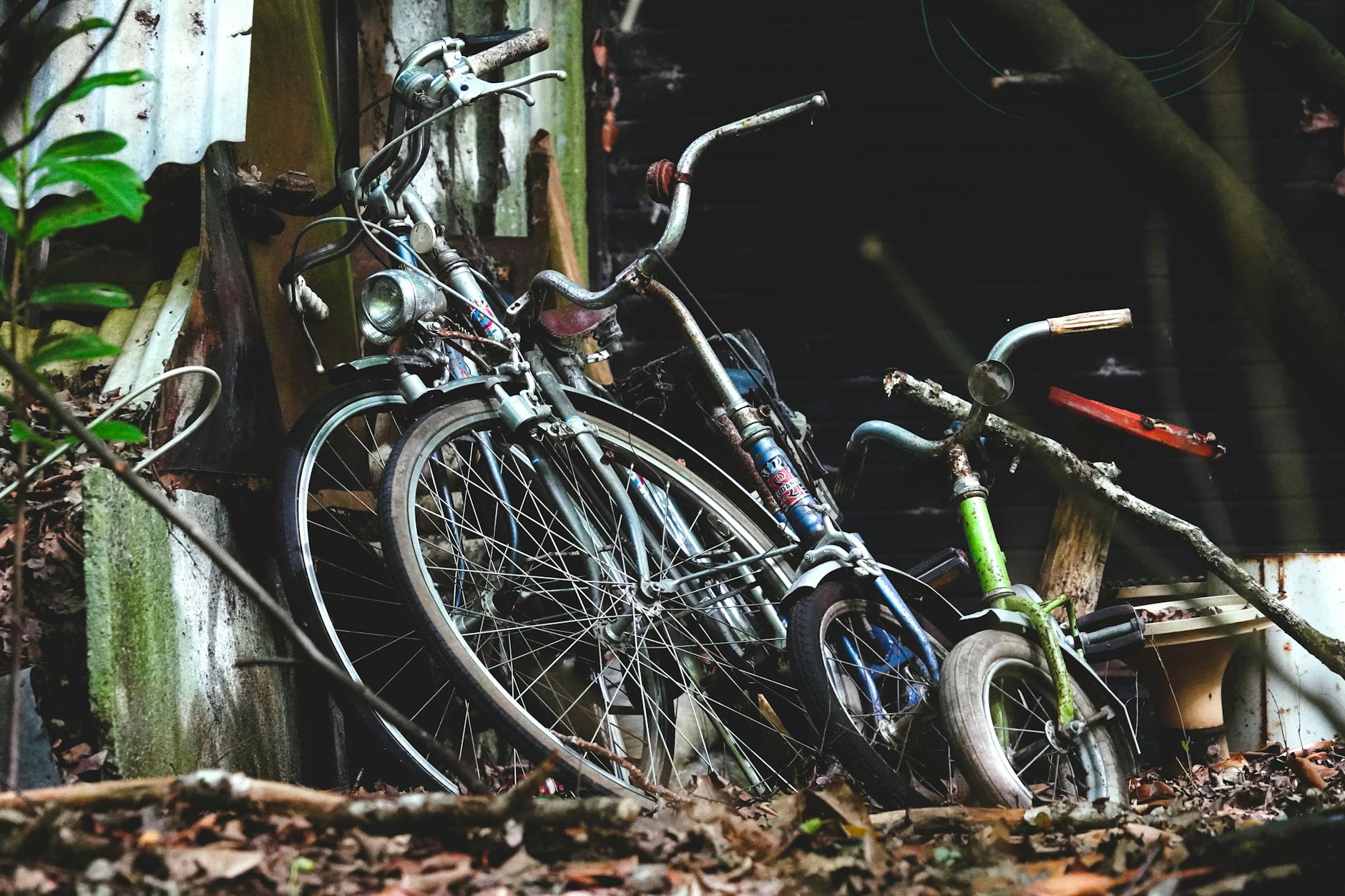 wo bikes