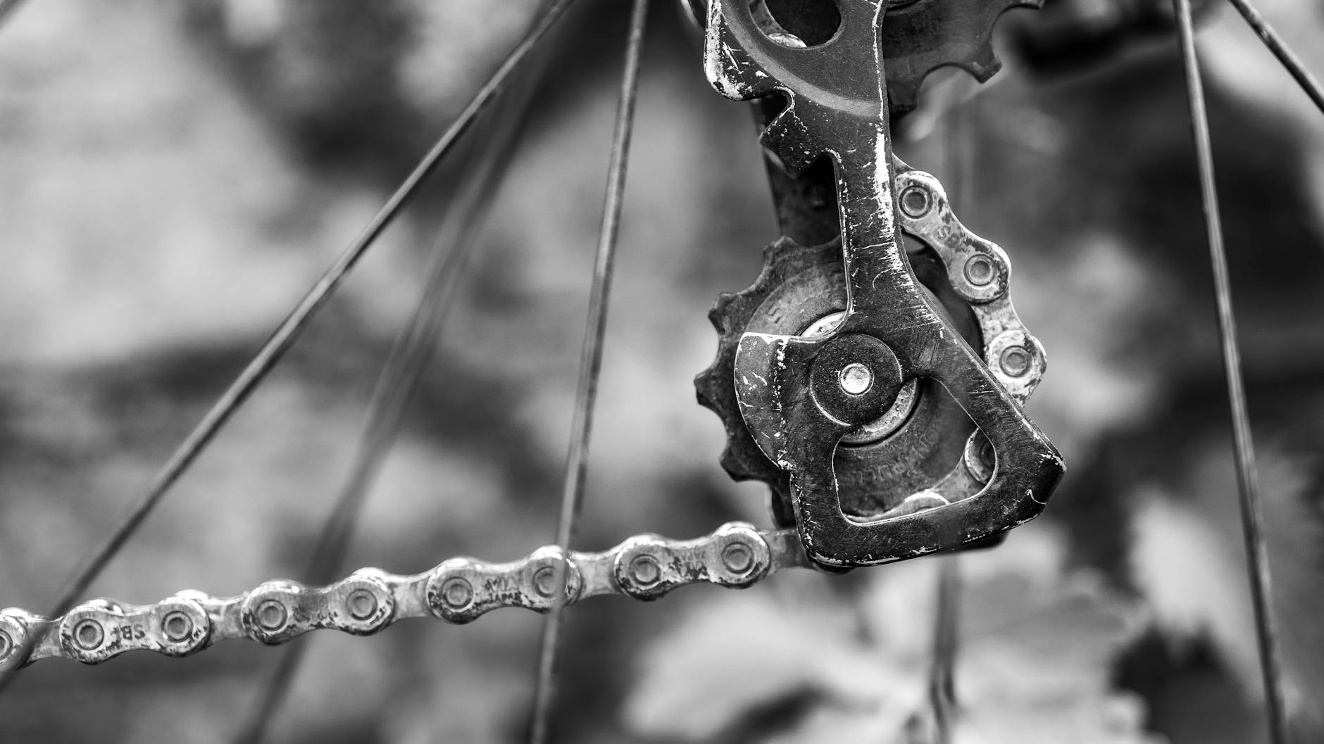 bicycle chain lubrication maintenance