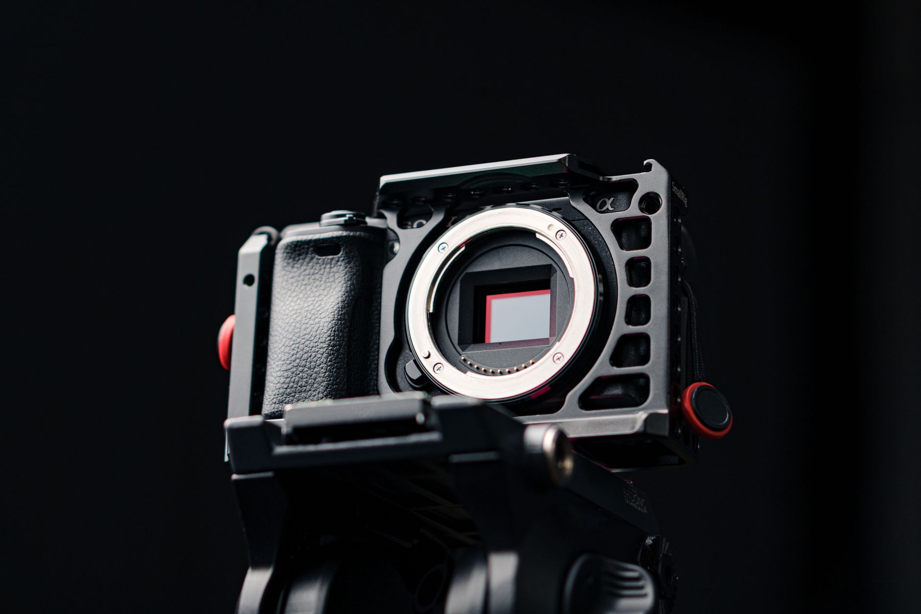 compatible stand