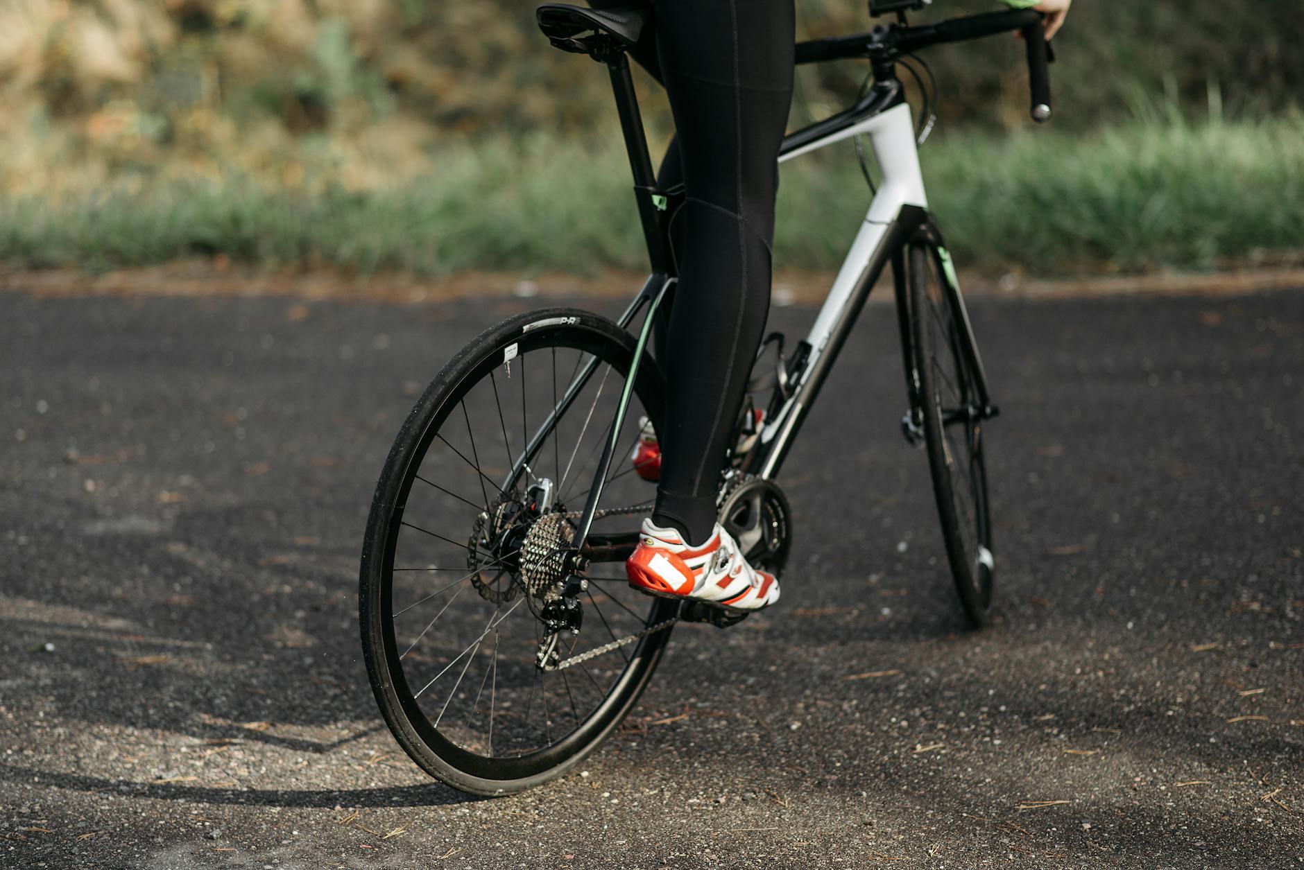carbon frame
