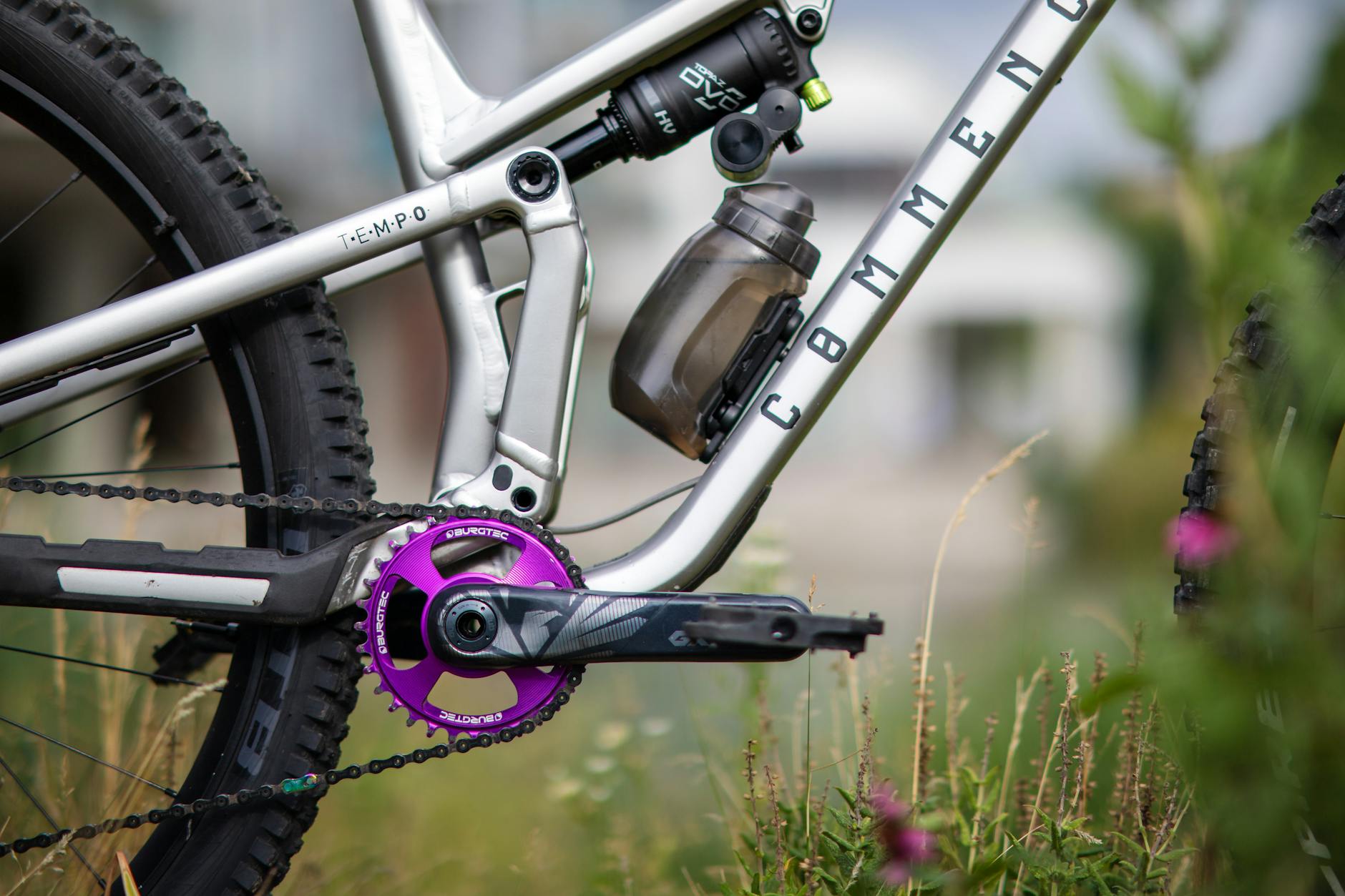 carbon frame