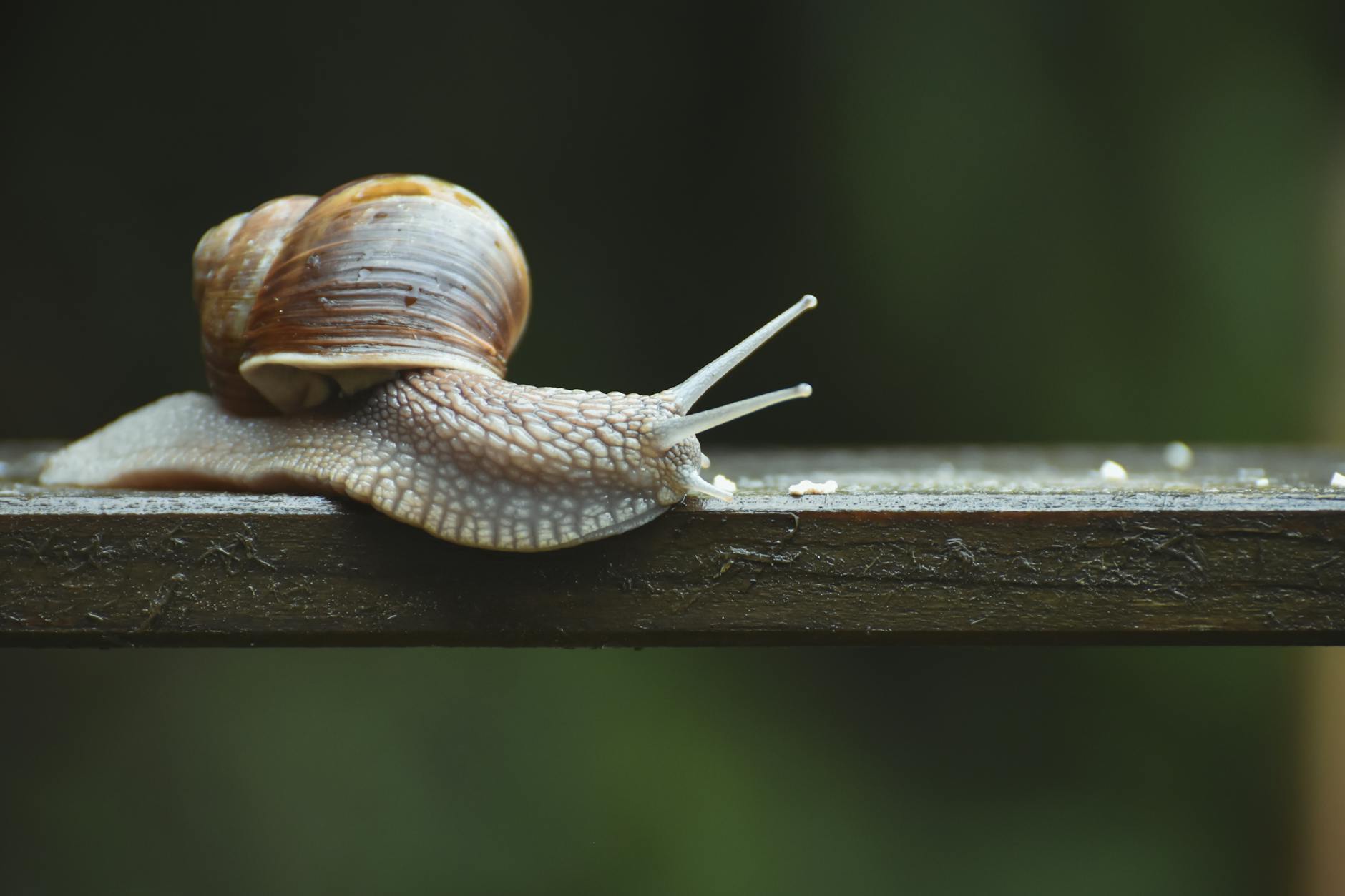 is it slow