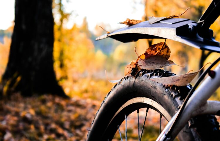 bicycle fender mudguard rain