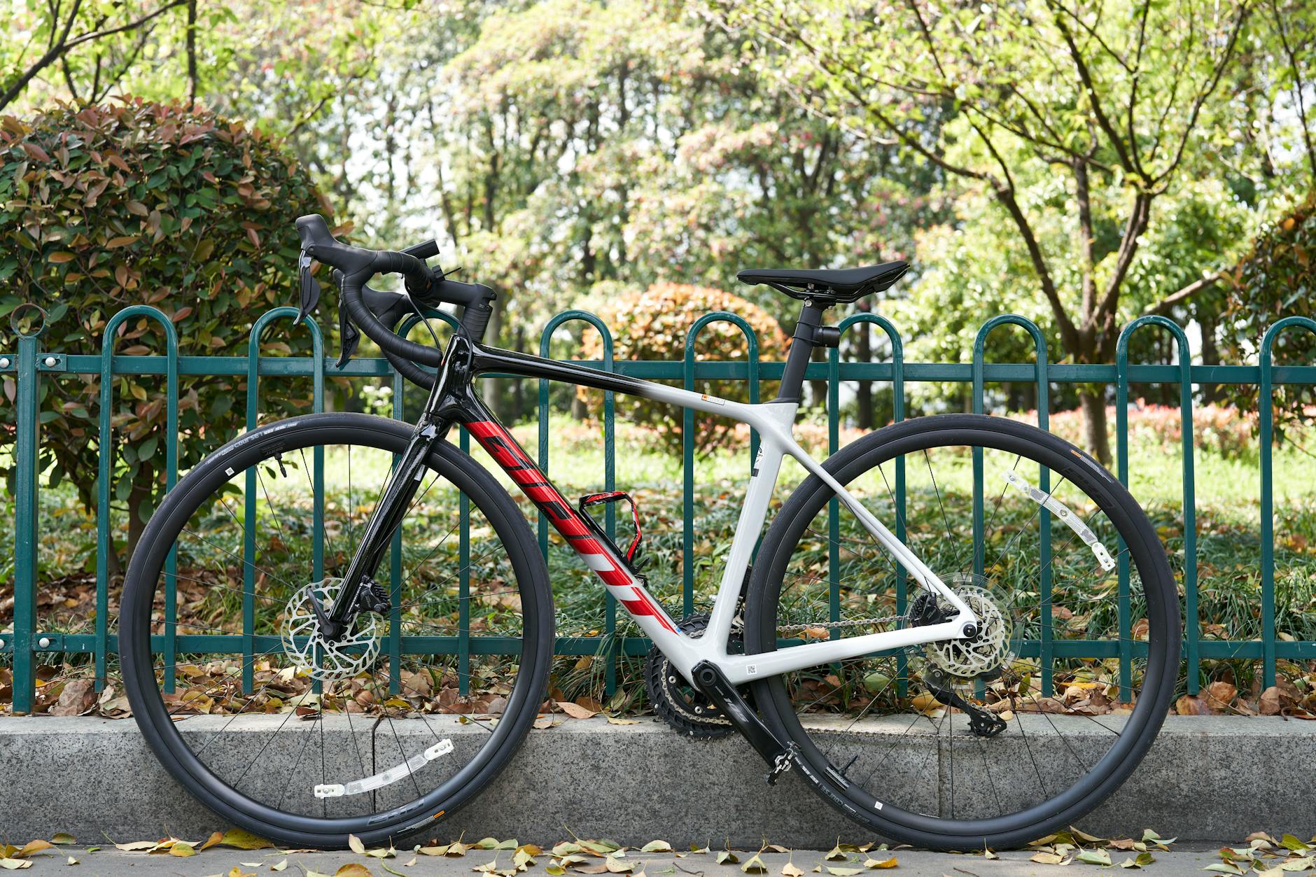 carbon frame